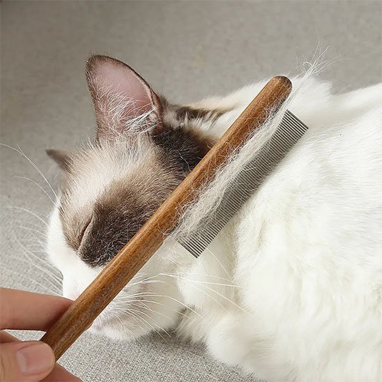 Brosse à chat | DouxPelage - Chat Ronronne