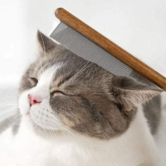 Brosse à chat | DouxPelage - Chat Ronronne