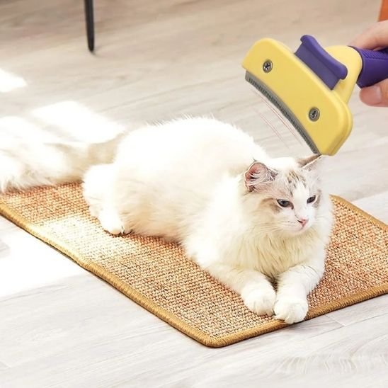 Brosse chat | ZeroPoils - Chat Ronronne