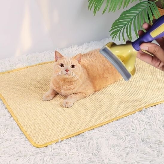 Brosse chat | ZeroPoils - Chat Ronronne