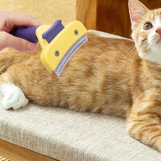 Brosse chat | ZeroPoils - Chat Ronronne