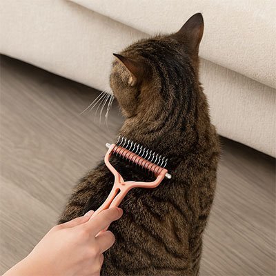 Brosse pour Chat | Antipoils - Chat Ronronne