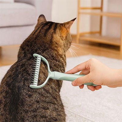 Brosse pour Chat | Antipoils - Chat Ronronne