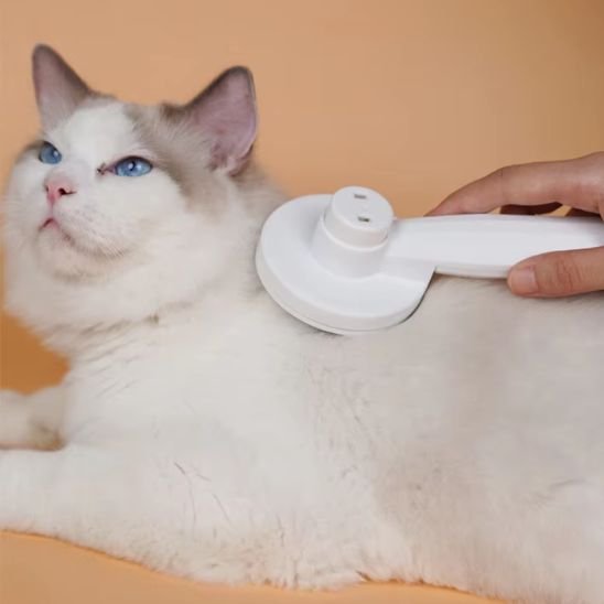 Brosse pour chat | BouleDePoils - Chat Ronronne