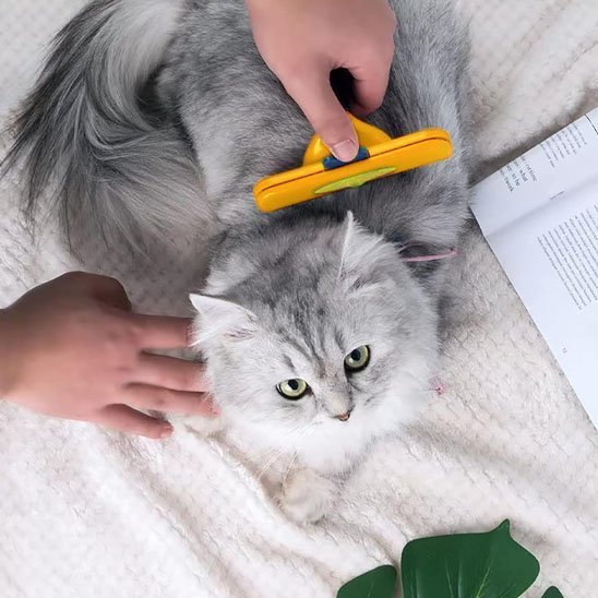 Brosse pour Chat | L’AcroPoils - Chat Ronronne