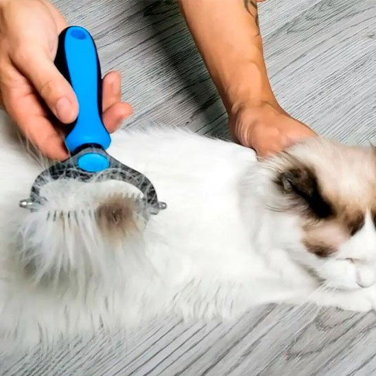 Brosse pour chat qui ramasse beaucoup de poils