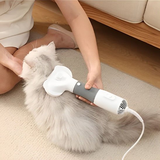 Brosse pour chat sur chat blanc