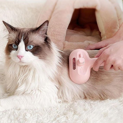 chat angora et sa Brosse pour chat​