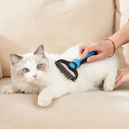 chat blanc et Brosse pour chat bleue
