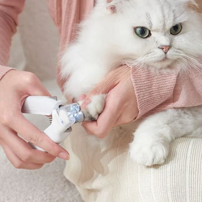 Chat blanc et son Coupe griffe pour chat Griff’Douce