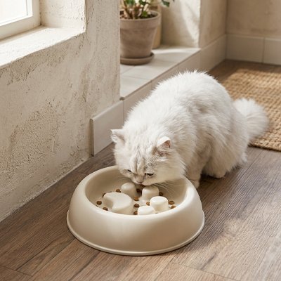 Chat blanc qui mange dans sa Gamelle anti glouton Chat PawFit