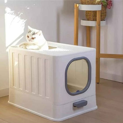 Chat blanc qui sort de son Bac à litière chat