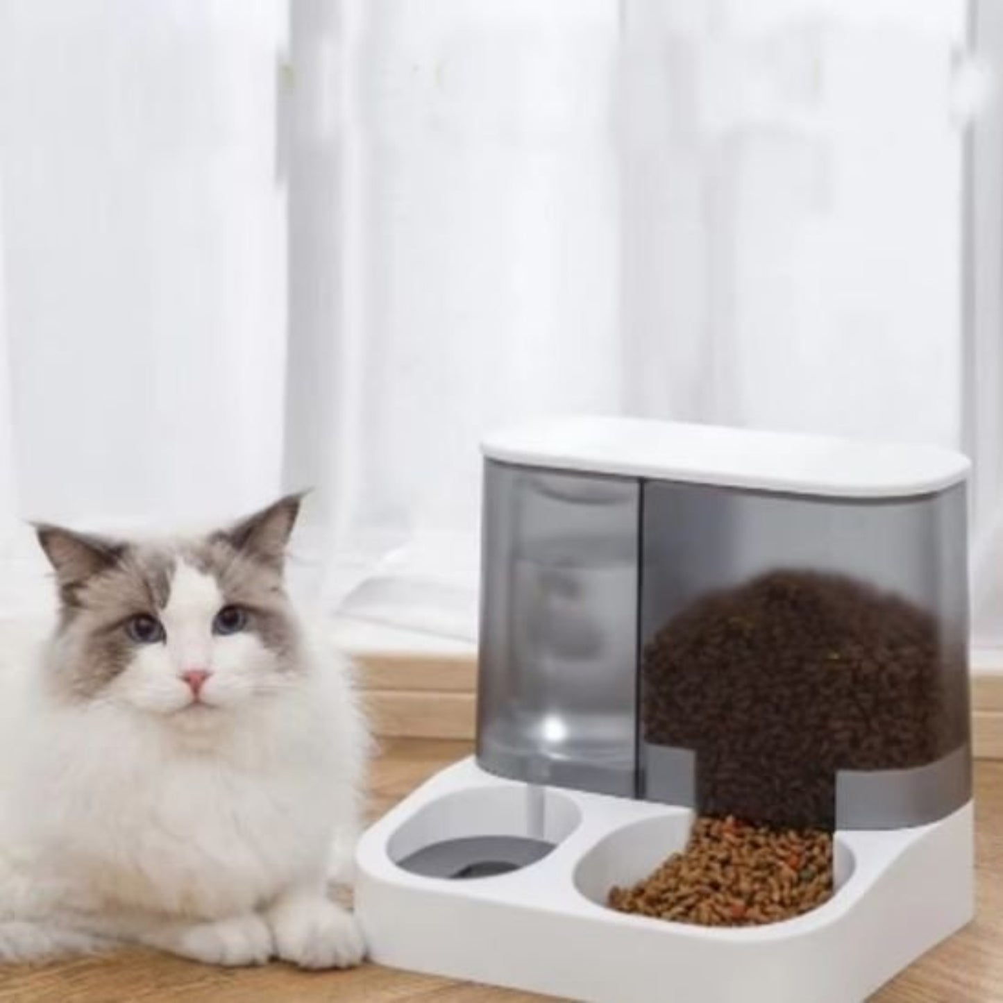 Chat couché à côté du distributeur de croquettes pour chat purrfectsupply