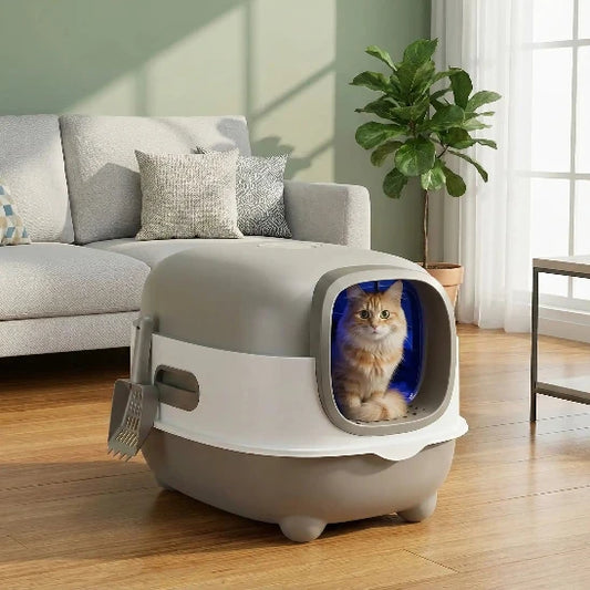 Chat dans Bac à litière Chat