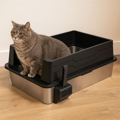 Chat dans son Bac à litière Chat