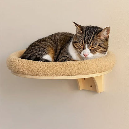 Chat dans son panier Arbre a Chat mural Évasion Féline