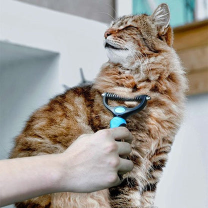 Chat et sa Brosse pour chat