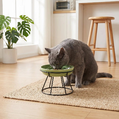 Chat gris qui mange dans sa gamelle anti glouton chat MiaouZen verte sur socle