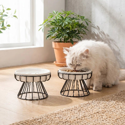 Chat persan qui mange dans ses gamelles anti glouton chat PataSnack