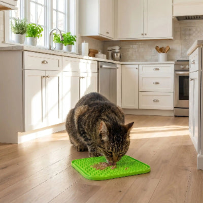 chat qui mange sur son tapis de lechage Zencolor vert