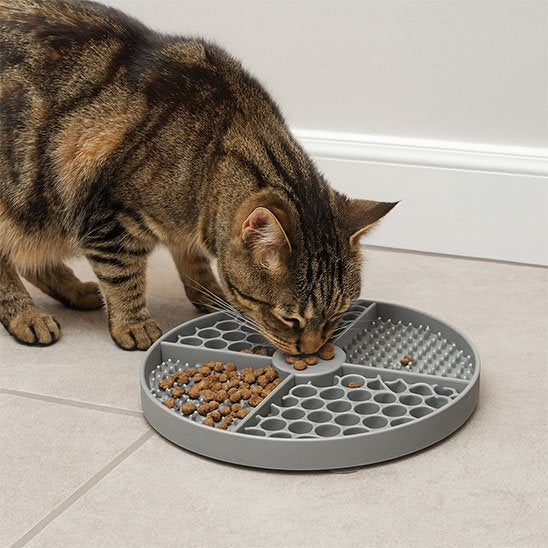 Chat qui mange sur son Tapis de lechage Chat Gris