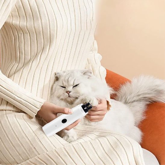 chat qui se fait une manucure avec la lime Coupe griffe chat