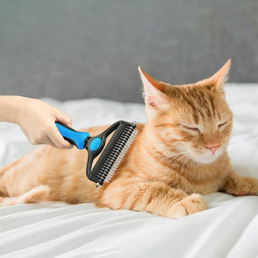 Chat roux et la Brosse pour chat
