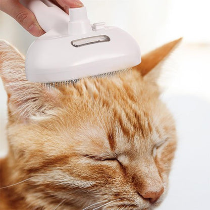 Chat roux et sa Brosse pour chat​
