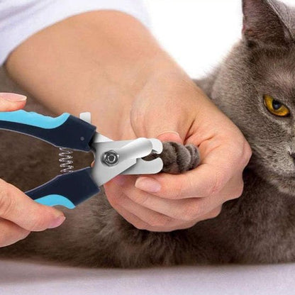 Coupe griffe chat en action