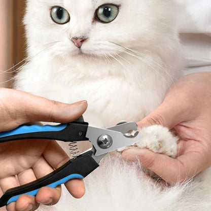 Coupe griffe chat et chat blanc