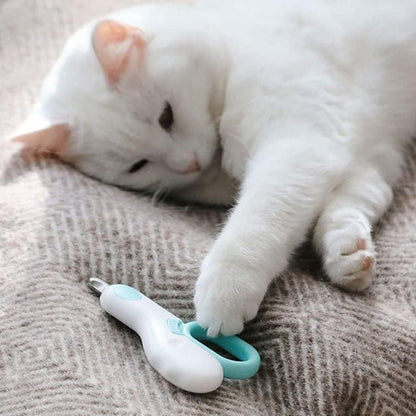 Coupe griffe chat | Professionnel - Chat Ronronne