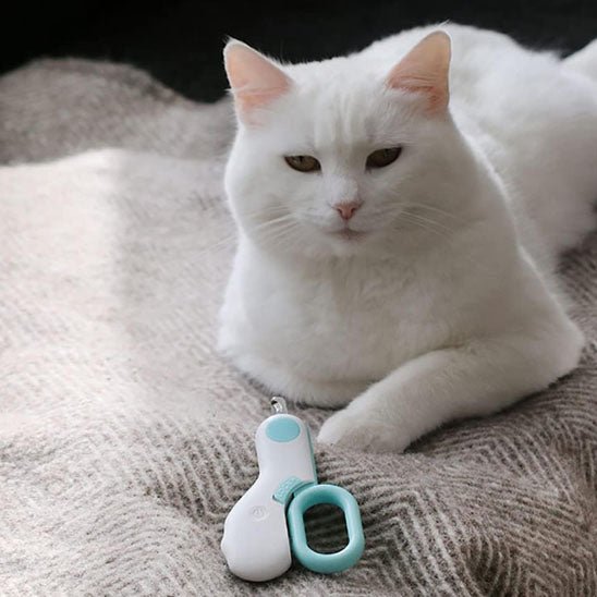 Coupe griffe chat | Professionnel - Chat Ronronne