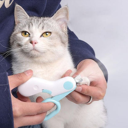 Coupe griffe chat | Professionnel - Chat Ronronne