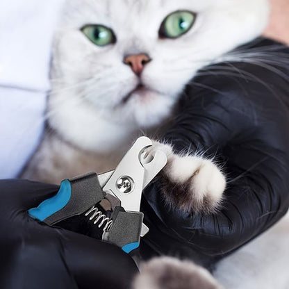 Coupe griffe chat | SimpleGrif - Chat Ronronne
