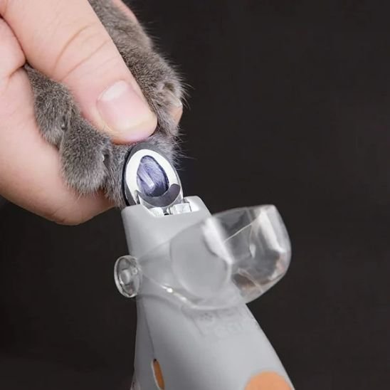 Coupe griffe pour chat | CleanPaws - Chat Ronronne