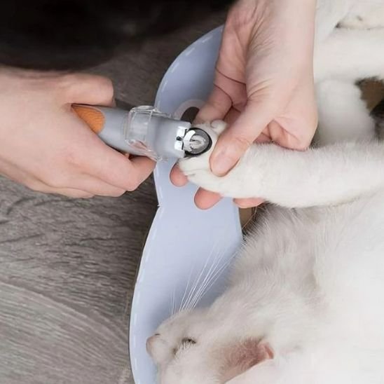 Coupe griffe pour chat | CleanPaws - Chat Ronronne