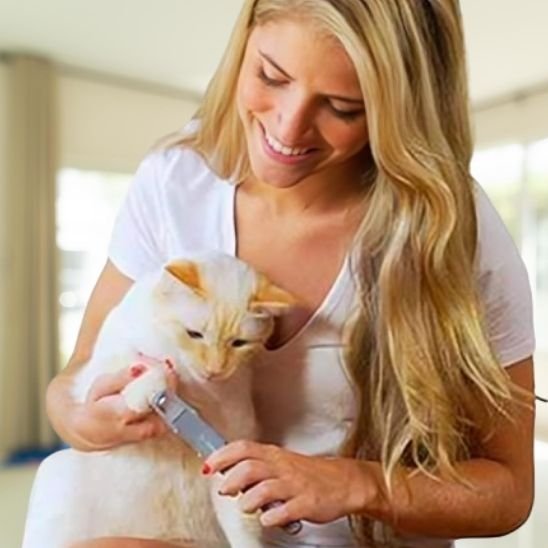 Coupe griffe pour chat | CleanPaws - Chat Ronronne