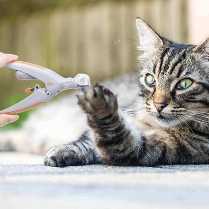 Coupe griffe pour chat | CleanPaws - Chat Ronronne