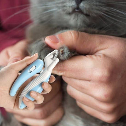 Coupe griffe pour chat | Griff’Douce - Chat Ronronne