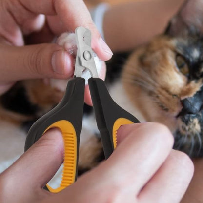 Coupe griffe pour chat | NetPaw - Chat Ronronne