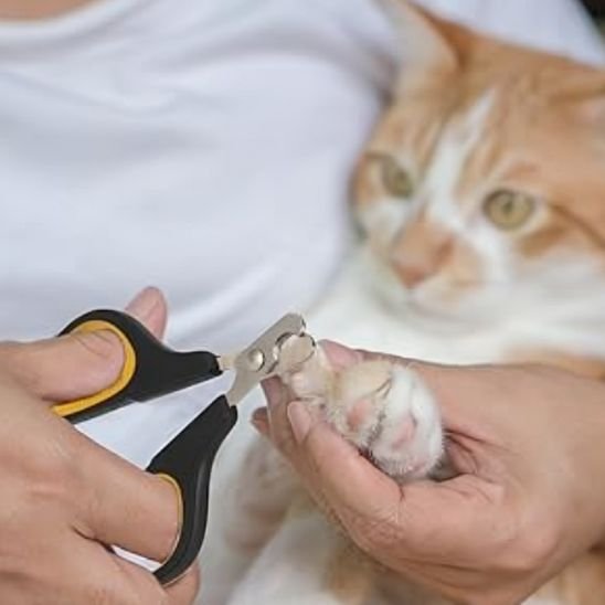 Coupe griffe pour chat | NetPaw - Chat Ronronne