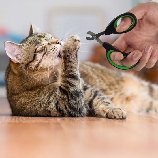 Coupe griffe pour chat | NetPaw - Chat Ronronne