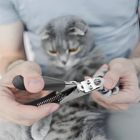 Coupe griffe pour chat | PataZen - Chat Ronronne