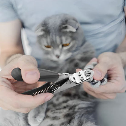 Coupe griffe pour chat | PataZen - Chat Ronronne