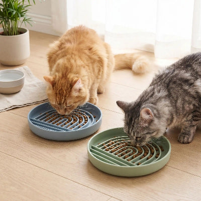 Deux chats qui mangent dans gamelle anti glouton chat Harmony plate.