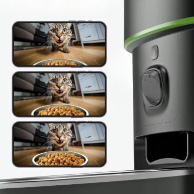 Distributeur automatique croquettes Chat | FeedMaster - Chat Ronronne