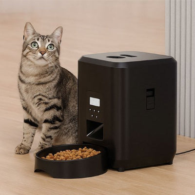 Chat gris, rayé, assis à côté de son distributeur de croquettes pour chat whiskerconnect