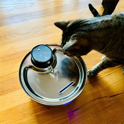 Fontaine a eau chat | FreshFelin - Chat Ronronne