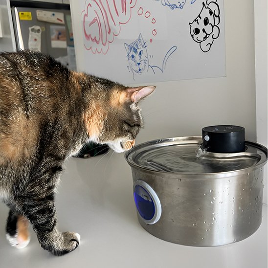 Fontaine a eau chat | FreshFelin - Chat Ronronne