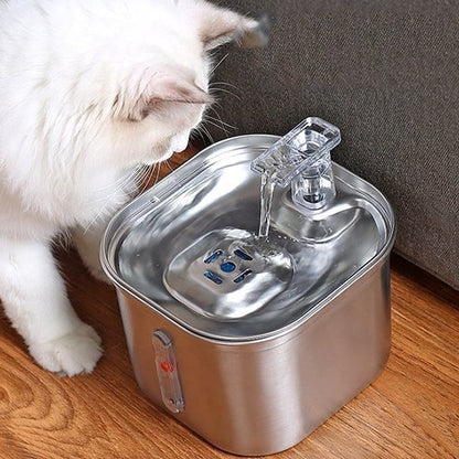 Fontaine a eau Chat | InoxFlow - Chat Ronronne